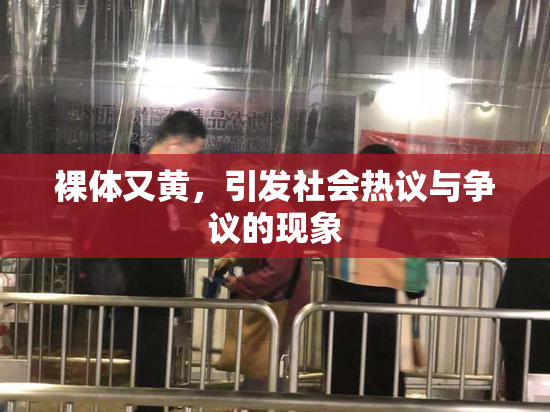 裸体又黄，引发社会热议与争议的现象