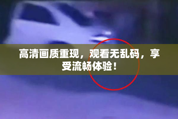 高清画质重现，观看无乱码，享受流畅体验！