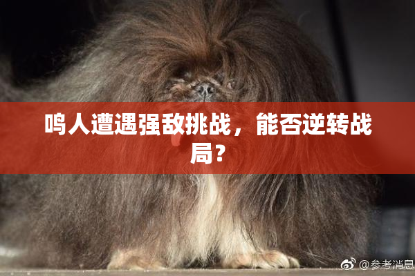 鸣人遭遇强敌挑战，能否逆转战局？