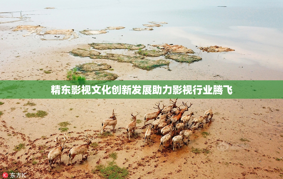 精东影视文化创新发展助力影视行业腾飞