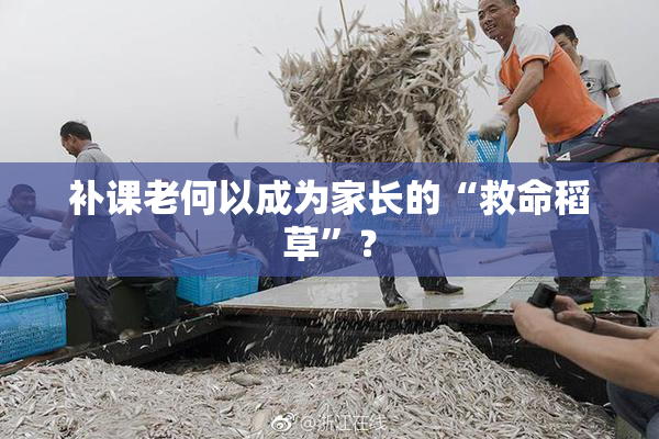 补课老何以成为家长的“救命稻草”？