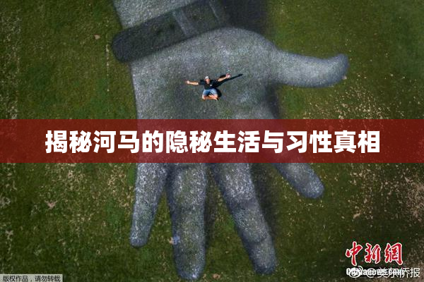 揭秘河马的隐秘生活与习性真相