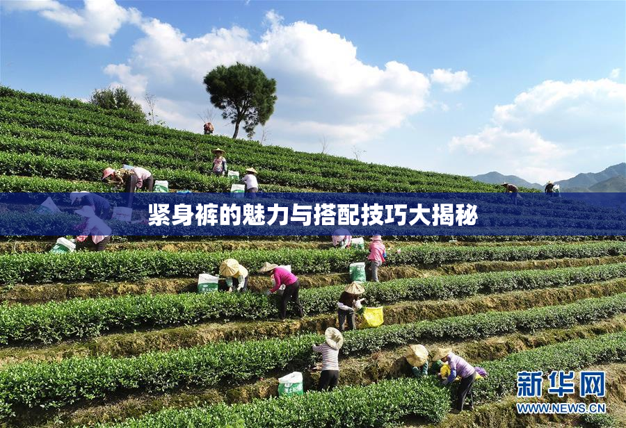 紧身裤的魅力与搭配技巧大揭秘