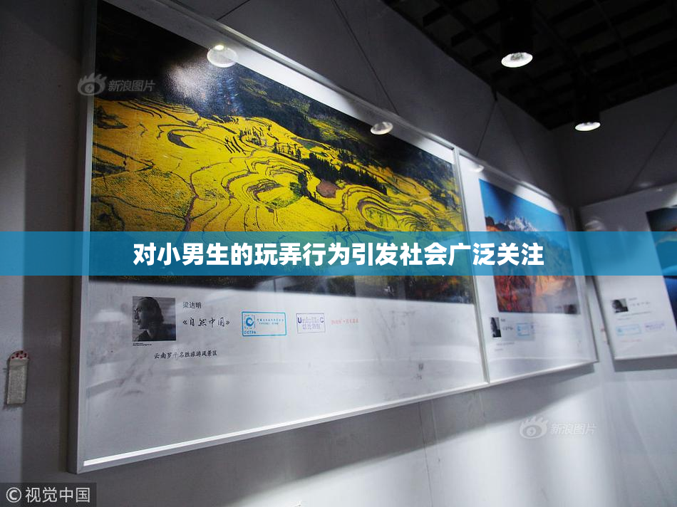 对小男生的玩弄行为引发社会广泛关注