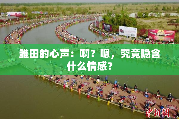 雏田的心声：啊？嗯，究竟隐含什么情感？