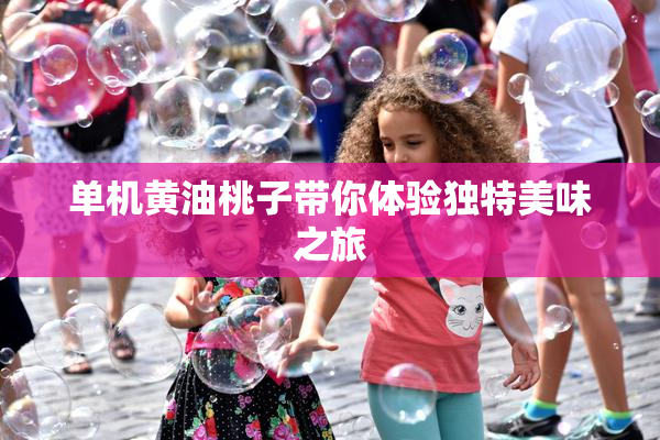 单机黄油桃子带你体验独特美味之旅