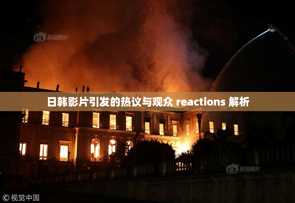 日韩影片引发的热议与观众 reactions 解析