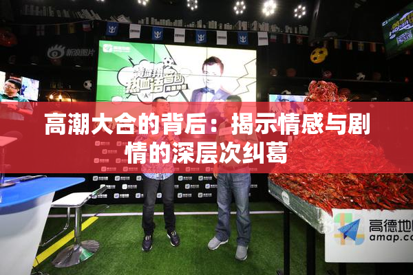 高潮大合的背后：揭示情感与剧情的深层次纠葛