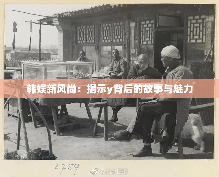 韩娱新风尚：揭示y背后的故事与魅力