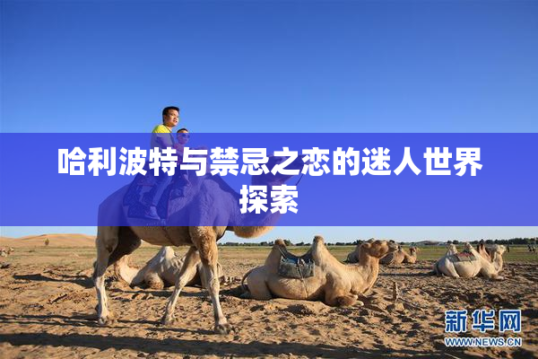 哈利波特与禁忌之恋的迷人世界探索
