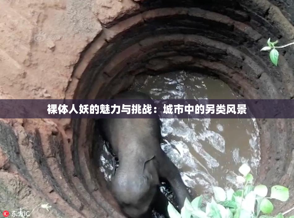 裸体人妖的魅力与挑战：城市中的另类风景