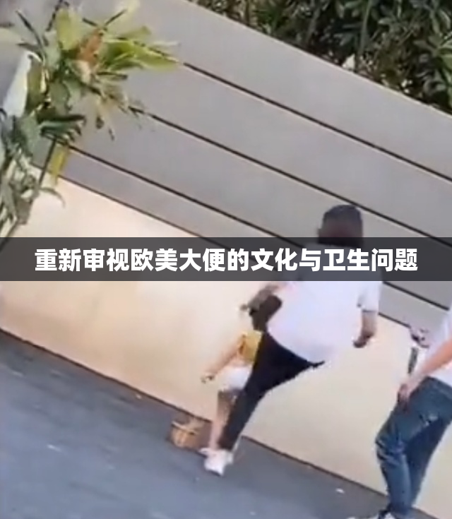 重新审视欧美大便的文化与卫生问题