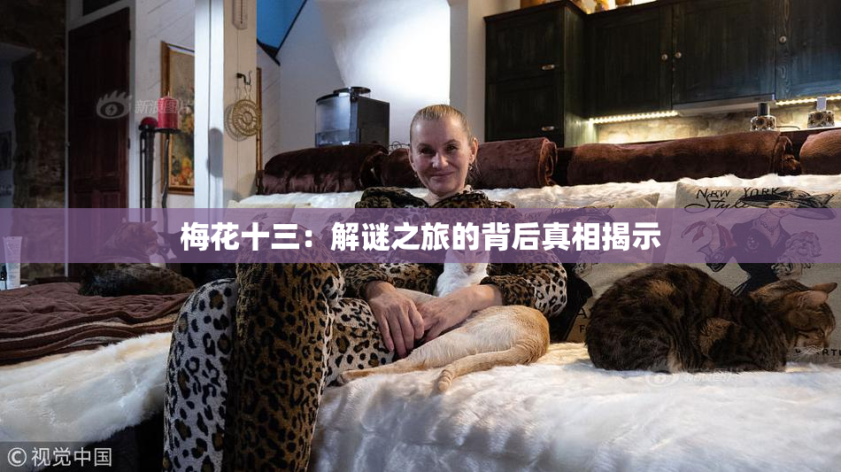 梅花十三：解谜之旅的背后真相揭示