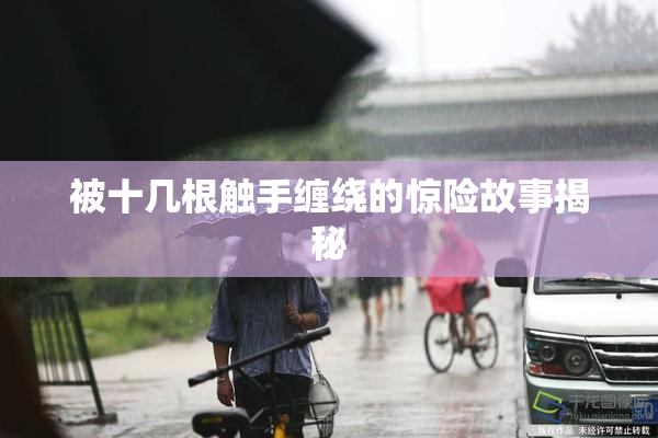 被十几根触手缠绕的惊险故事揭秘