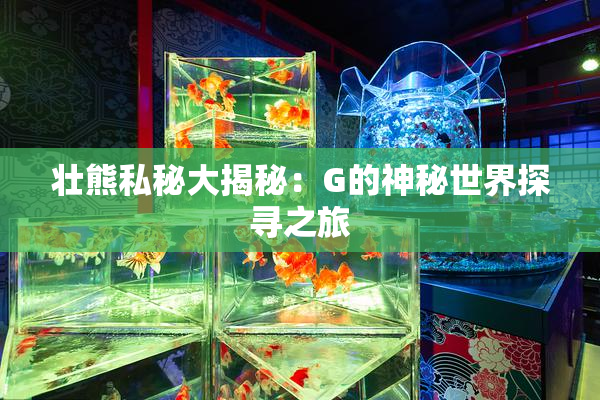 壮熊私秘大揭秘：G的神秘世界探寻之旅