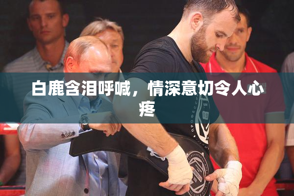 白鹿含泪呼喊，情深意切令人心疼