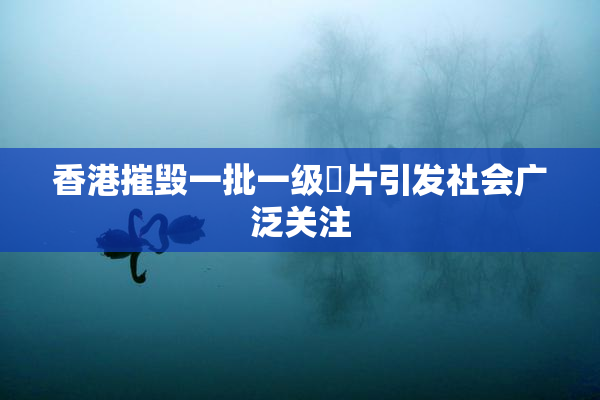 香港摧毁一批一级婬片引发社会广泛关注
