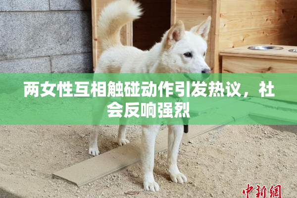 两女性互相触碰动作引发热议，社会反响强烈