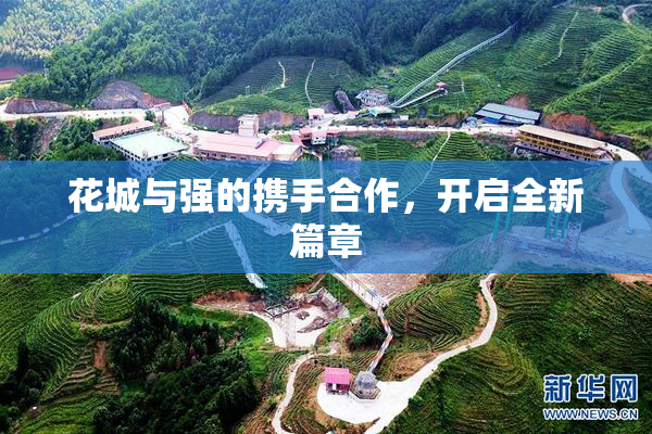 花城与强的携手合作，开启全新篇章