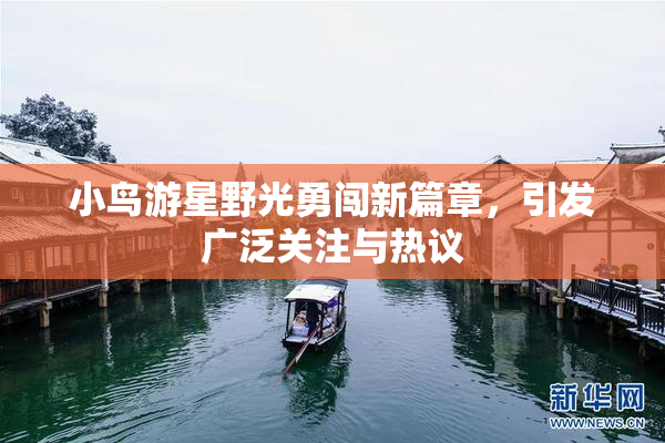 小鸟游星野光勇闯新篇章，引发广泛关注与热议