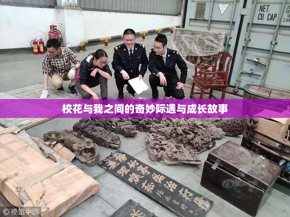 校花与我之间的奇妙际遇与成长故事