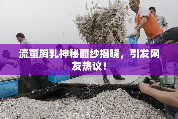 流萤胸乳神秘面纱揭晓，引发网友热议！