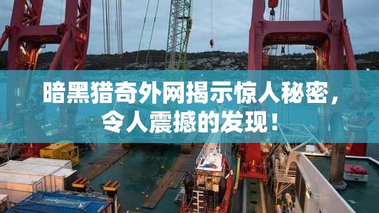 暗黑猎奇外网揭示惊人秘密，令人震撼的发现！