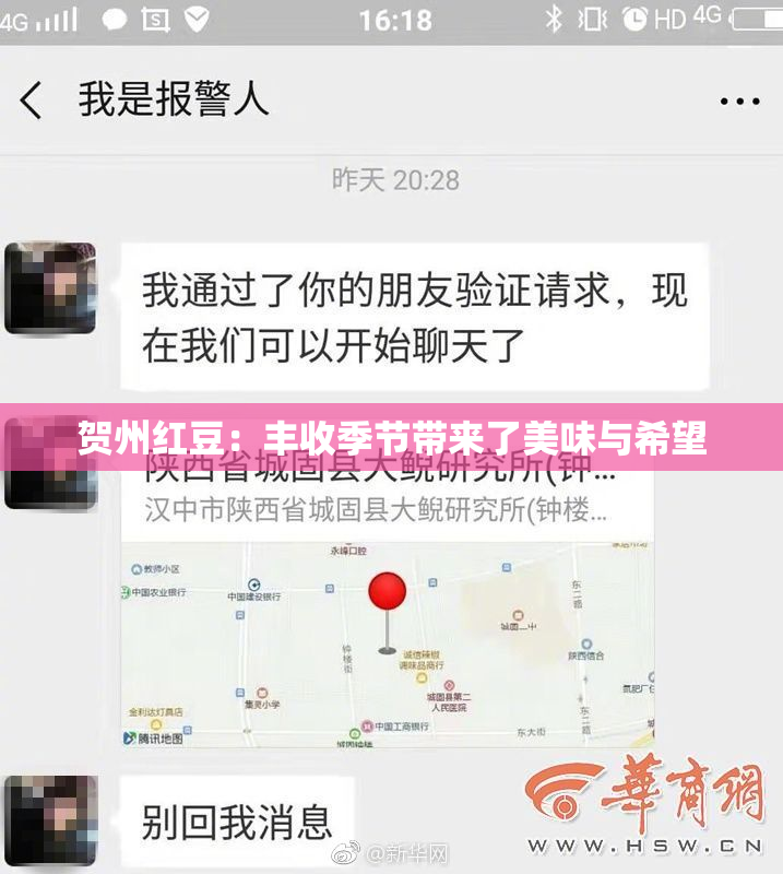 贺州红豆：丰收季节带来了美味与希望