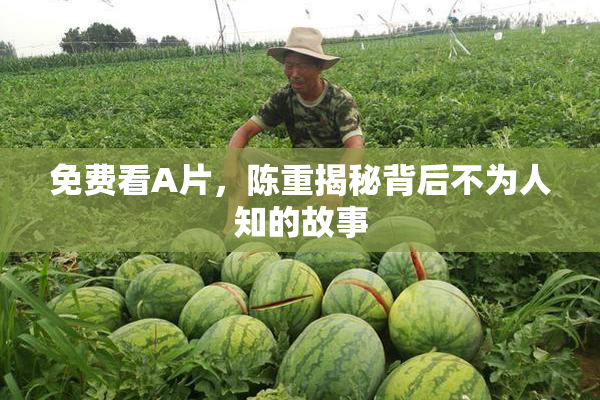 免费看A片，陈重揭秘背后不为人知的故事