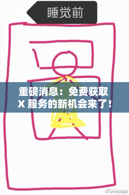 重磅消息：免费获取 X 服务的新机会来了！