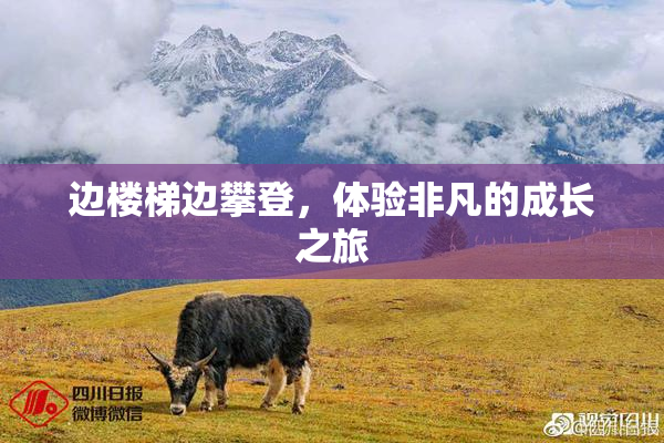 边楼梯边攀登，体验非凡的成长之旅
