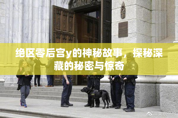 绝区零后宫y的神秘故事，探秘深藏的秘密与惊奇