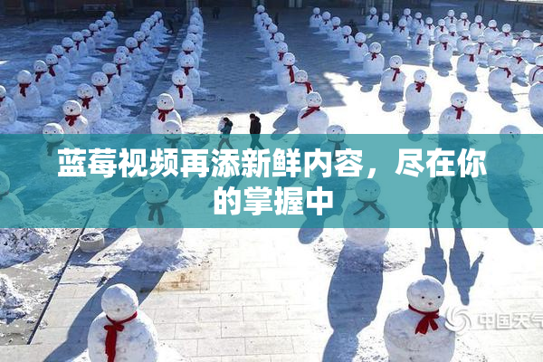 蓝莓视频再添新鲜内容，尽在你的掌握中