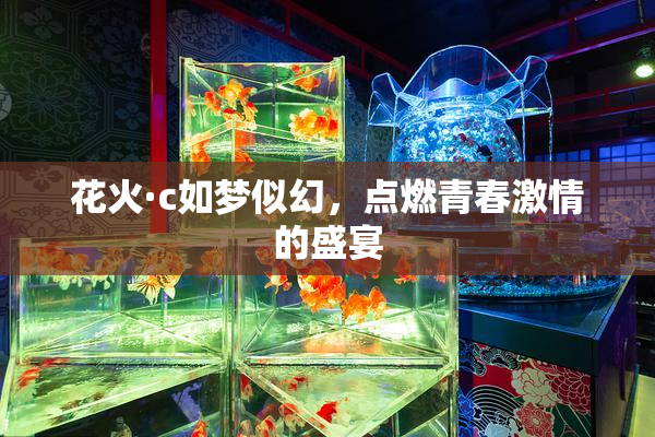 花火·c如梦似幻，点燃青春激情的盛宴