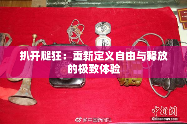 扒开腿狂：重新定义自由与释放的极致体验