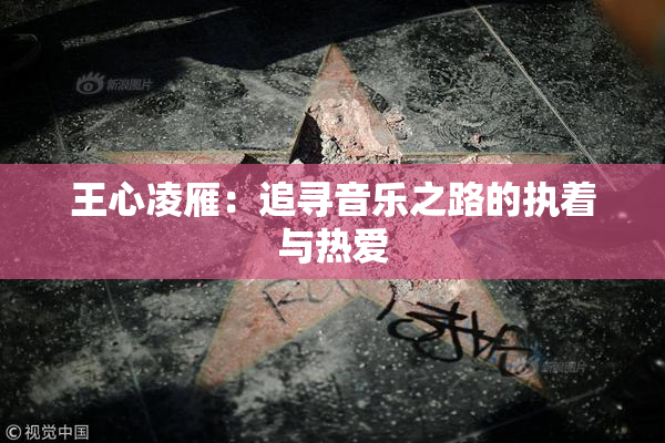 王心凌雁：追寻音乐之路的执着与热爱