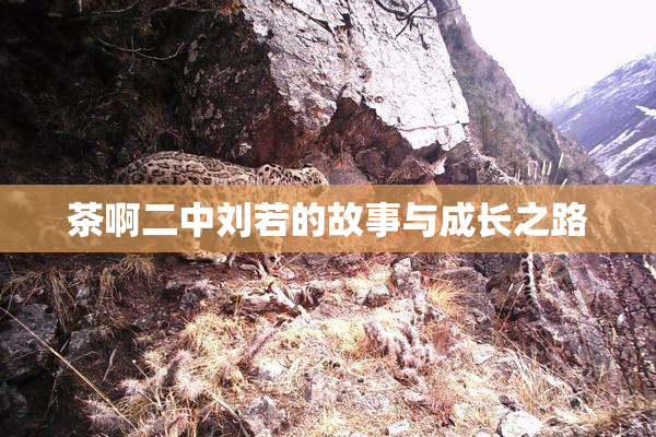 茶啊二中刘若的故事与成长之路