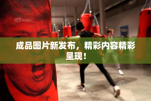 成品图片新发布，精彩内容精彩呈现！