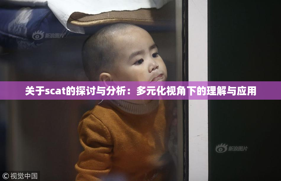 关于scat的探讨与分析：多元化视角下的理解与应用