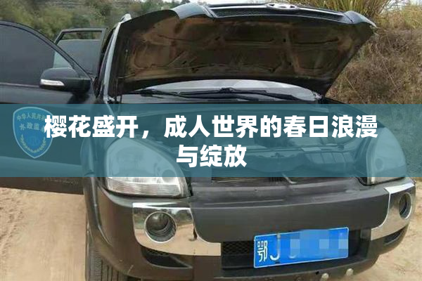 樱花盛开，成人世界的春日浪漫与绽放