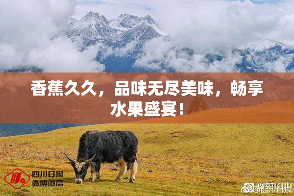 香蕉久久，品味无尽美味，畅享水果盛宴！