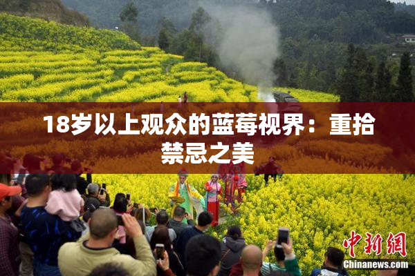 18岁以上观众的蓝莓视界：重拾禁忌之美