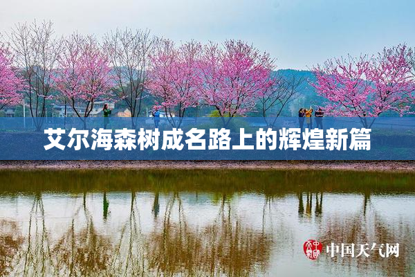 艾尔海森树成名路上的辉煌新篇