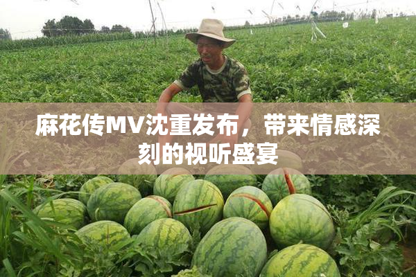 麻花传MV沈重发布，带来情感深刻的视听盛宴