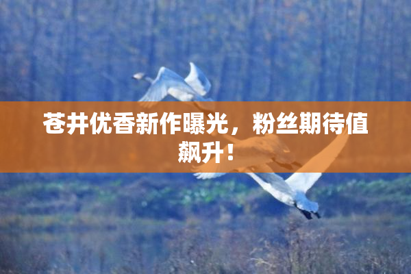 苍井优香新作曝光，粉丝期待值飙升！