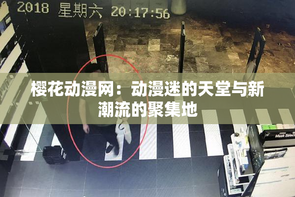 樱花动漫网：动漫迷的天堂与新潮流的聚集地