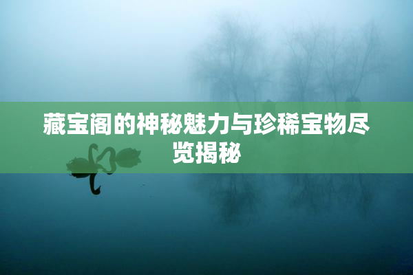 藏宝阁的神秘魅力与珍稀宝物尽览揭秘