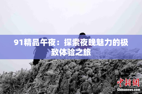 91精品午夜：探索夜晚魅力的极致体验之旅