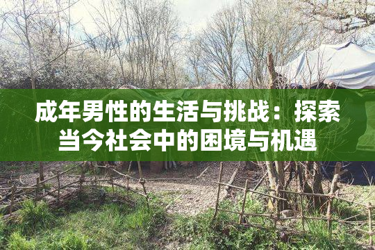 成年男性的生活与挑战：探索当今社会中的困境与机遇