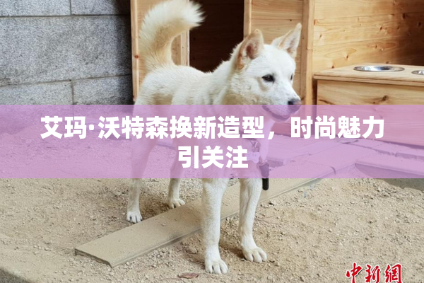艾玛·沃特森换新造型，时尚魅力引关注